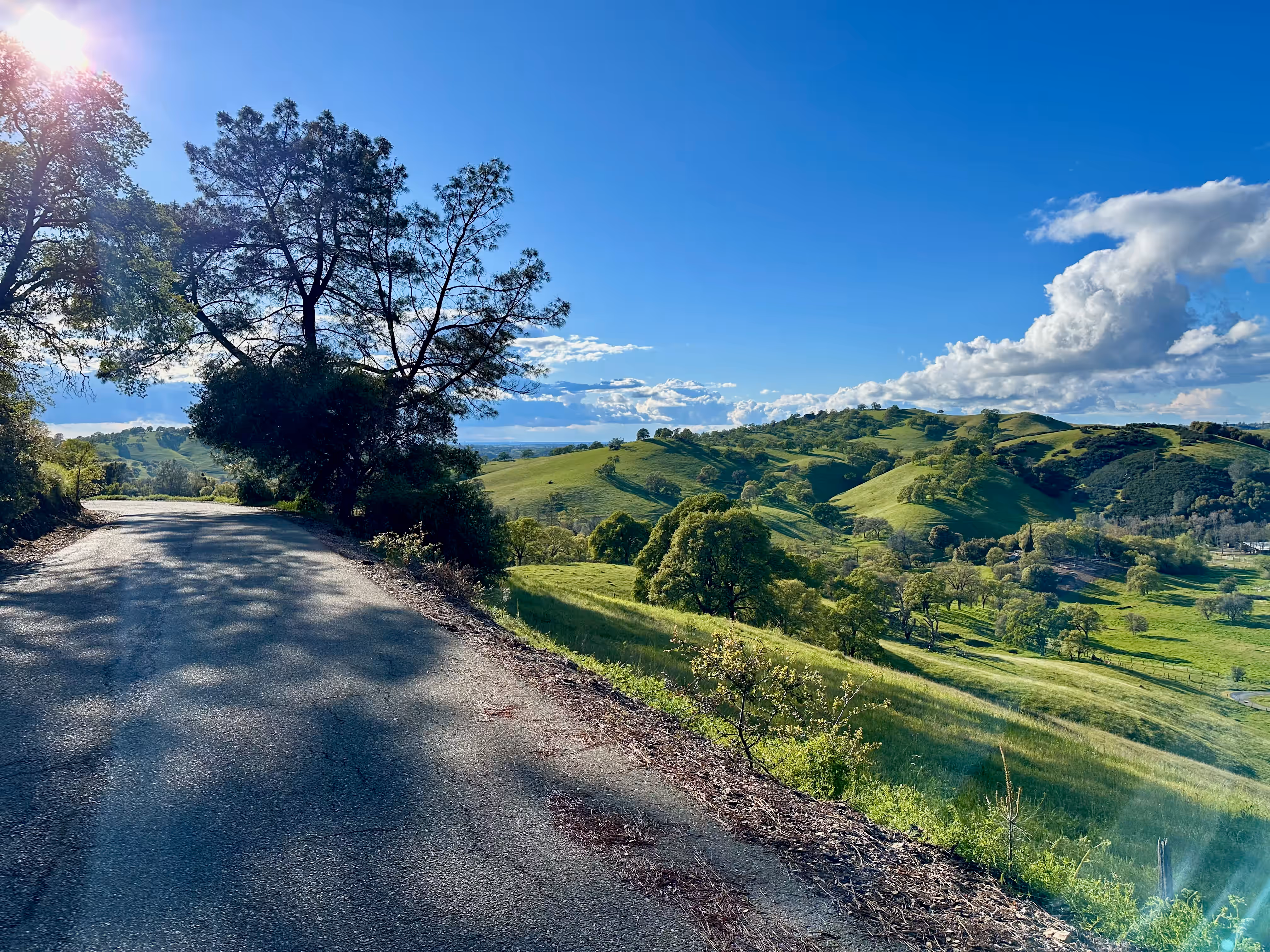 Green rolling hills of local Amador City, CA